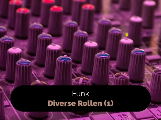 07_Funk_Diverse_Rollen