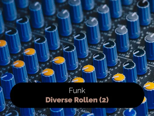 08_Funk_Diverse_Rollen_2
